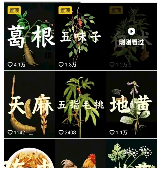 抖音中草药赛道，用AI做中草药故事视频，45条作品涨粉13W，橱窗带货猛猛出单-百盟网