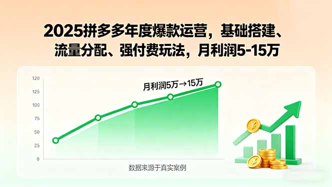 2025拼多多年度爆款运营，基础搭建、流量分配、强付费玩法，月利润5-15万-百盟网