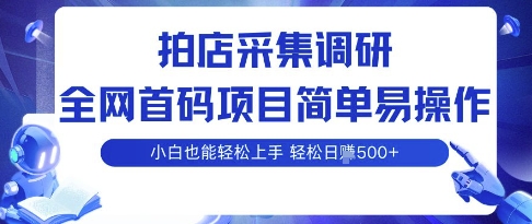 拍店采集调研，全网首码项目，简单易操作， 小白也能轻松上手，多账号操作，轻松日入5张【揭秘】-百盟网