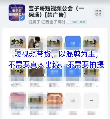 宝子哥头部团队短视频带货，以混剪为主，不需要真人出镜，不需要拍摄【更新9月】-百盟网