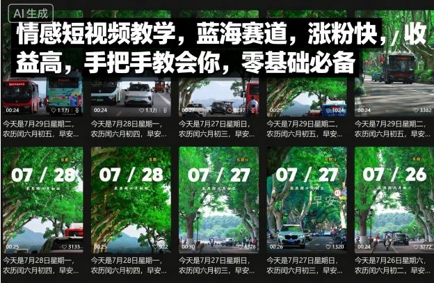 情感短视频教学，蓝海赛道，涨粉快，收益高，手把手教会你，零基础必备-百盟网