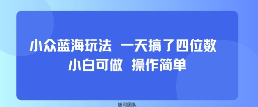 小众蓝海玩法 一天搞了四位数 小白可做 操作简单-百盟网