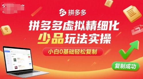 拼多多虚拟精细化少品玩法实操，小白0基础轻松复制-百盟网