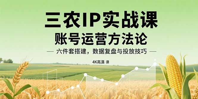 三农IP实战课：账号运营方法论，六件套搭建，数据复盘与投放技巧-百盟网