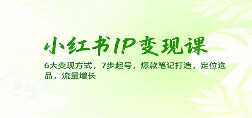 小红书IP变现课：6大变现方式，7步起号，爆款笔记打造，定位选品，流量增长-百盟网
