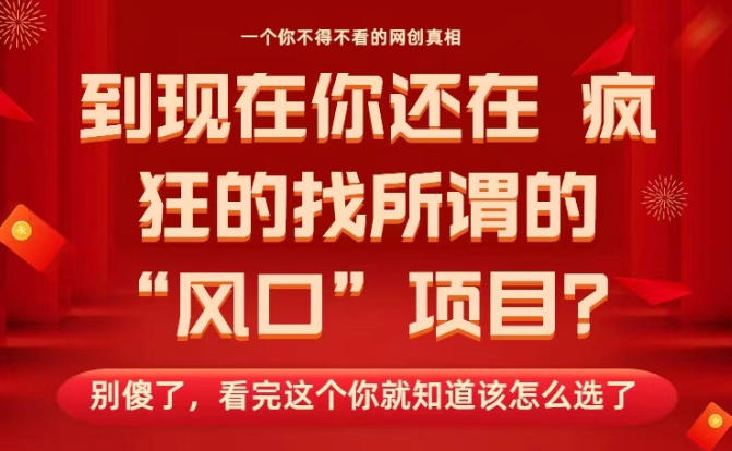 马上26年了，你还在找所谓的风口项目？别傻了，看完这个你全都懂了！【揭秘】-百盟网