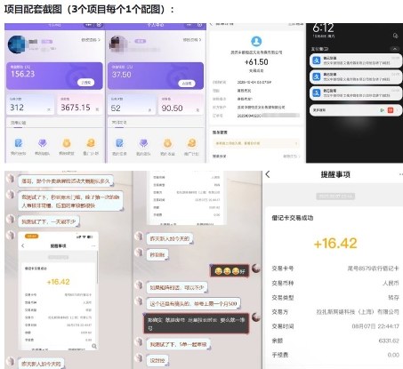 当天能收益的3个小项目拆解_包括平台+操作流程-百盟网